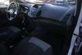 Ford EcoSport Ford EcoSport 1.5 TDCi 95 CV Titanium Unicopropri Alb - thumbnail 8