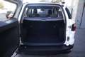 Ford EcoSport Ford EcoSport 1.5 TDCi 95 CV Titanium Unicopropri Alb - thumbnail 18