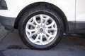 Ford EcoSport Ford EcoSport 1.5 TDCi 95 CV Titanium Unicopropri Alb - thumbnail 5