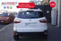 Ford EcoSport Ford EcoSport 1.5 TDCi 95 CV Titanium Unicopropri Alb - thumbnail 7