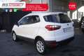 Ford EcoSport Ford EcoSport 1.5 TDCi 95 CV Titanium Unicopropri Alb - thumbnail 15