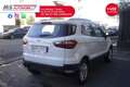 Ford EcoSport Ford EcoSport 1.5 TDCi 95 CV Titanium Unicopropri Alb - thumbnail 13