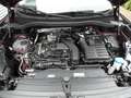 Volkswagen Tiguan 1.5 eTSI DSG Goal LED Navi SHZ AHK Klima Klima Червоний - thumbnail 14