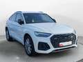 Audi Q5 40 TDI q. S-Tronic S-Line 2x, Matri Weiß - thumbnail 6