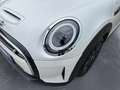 MINI Cooper SE . Classic Trim Klimaaut. Sportsitze PDC Weiß - thumbnail 14