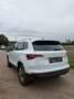 Skoda Karoq 1,5 TSI ACT DSG Style Weiß - thumbnail 3