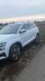 Skoda Karoq 1,5 TSI ACT DSG Style Weiß - thumbnail 11