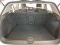 Volkswagen Golf VIII 1.0 TSI Move CarPlay SHZ PDC LED Weiß - thumbnail 15
