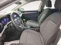 Volkswagen Golf VIII 1.0 TSI Move CarPlay SHZ PDC LED Weiß - thumbnail 7