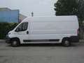 Fiat Ducato 35 2.3 MJT 130CV LH2 Frigo Motore Rotto Bianco - thumbnail 5