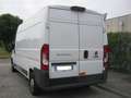 Fiat Ducato 35 2.3 MJT 130CV LH2 Frigo Motore Rotto Bianco - thumbnail 4