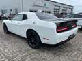Dodge Challenger SRT 6.4L Sheker*V8*EZ 2023*WenigKM Weiß - thumbnail 10