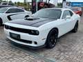 Dodge Challenger SRT 6.4L Sheker*V8*EZ 2023*WenigKM Weiß - thumbnail 1