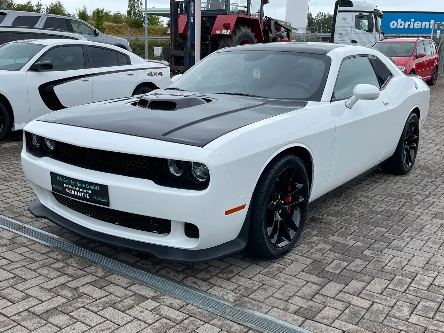 Dodge Challenger SRT 6.4L Sheker*V8*EZ 2023*WenigKM Weiß - 1