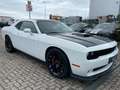 Dodge Challenger SRT 6.4L Sheker*V8*EZ 2023*WenigKM Weiß - thumbnail 4