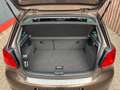 Volkswagen Polo V Style 1. Hand Klima Allwetter Brun - thumbnail 14