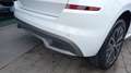 Skoda Kamiq Kamiq 2019 1.0 tsi Style 110cv Blanc - thumbnail 17