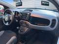 Fiat Panda 1.0 Gse City Live Hybrid Bianco - thumbnail 13