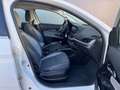 Fiat Tipo 1,3 MultiJet II 95 Lounge Weiß - thumbnail 11
