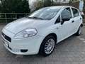 Fiat Grande Punto Punto 1.2 8V*KLIMA*5TÜRIG*INSPEKTIN(REIFEN NEU Weiß - thumbnail 1