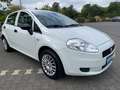 Fiat Grande Punto Punto 1.2 8V*KLIMA*5TÜRIG*INSPEKTIN(REIFEN NEU Weiß - thumbnail 2