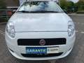 Fiat Grande Punto Punto 1.2 8V*KLIMA*5TÜRIG*INSPEKTIN(REIFEN NEU Weiß - thumbnail 6