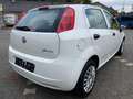 Fiat Grande Punto Punto 1.2 8V*KLIMA*5TÜRIG*INSPEKTIN(REIFEN NEU Weiß - thumbnail 3