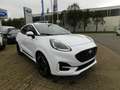 Ford Puma ST Line X Autom. ACC Bliss 360° Kamera Bianco - thumbnail 1