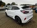Ford Puma ST Line X Autom. ACC Bliss 360° Kamera Bianco - thumbnail 7