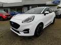Ford Puma ST Line X Autom. ACC Bliss 360° Kamera Bianco - thumbnail 3