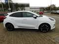 Ford Puma ST Line X Autom. ACC Bliss 360° Kamera Bianco - thumbnail 4