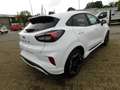 Ford Puma ST Line X Autom. ACC Bliss 360° Kamera Bianco - thumbnail 5