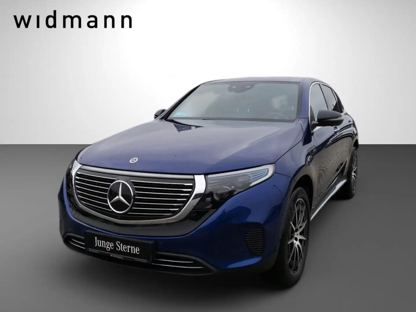 Mercedes-Benz EQC 400 4M *Distronic*Memory*S-Dach*Park-Assist* Blue - 1