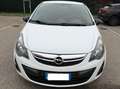 Opel Corsa 1.3 cdti - NEOPATENTATI - 12 MESI DI GARANZIA - Weiß - thumbnail 1