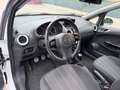 Opel Corsa 1.3 cdti - NEOPATENTATI - 12 MESI DI GARANZIA - Weiß - thumbnail 7