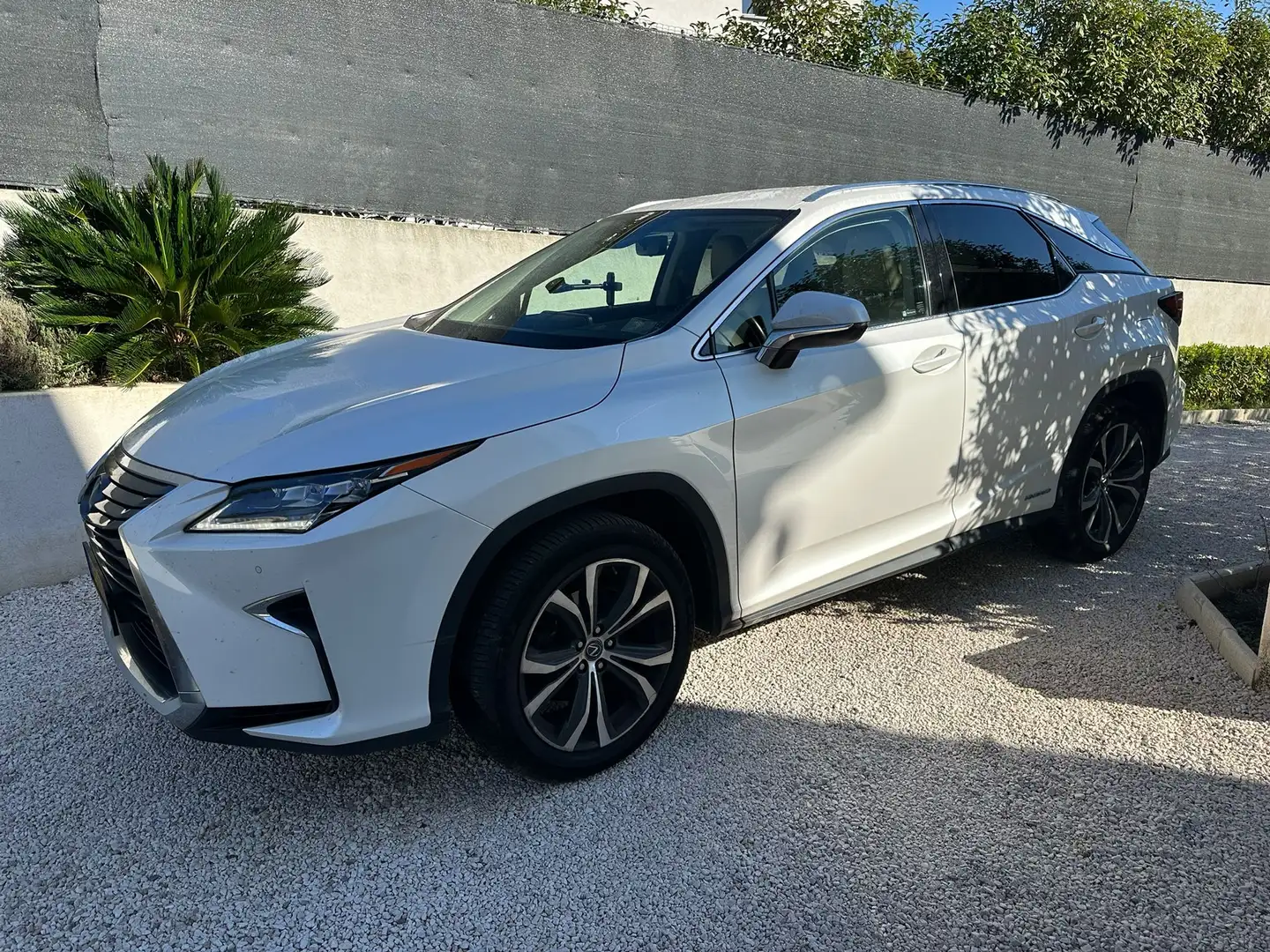 Lexus RX 450h (hybrid) Executive Line - 313hp - 1