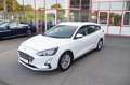 Ford Focus Turnier 2.0EcoBlue Titanium,ACC,B&O,Kamera Blanc - thumbnail 1