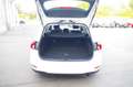 Ford Focus Turnier 2.0EcoBlue Titanium,ACC,B&O,Kamera Blanc - thumbnail 12