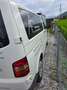 Volkswagen T5 Transporter Fahrgestell 2,5 TDI D-PF Weiß - thumbnail 7