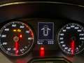 SEAT Ibiza 5 Porte 1.0  Reference Grau - thumbnail 19