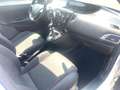 Lancia Ypsilon 1.2 BENZ 8v Gold 69cv ADATTA NEOPATENTATI Wit - thumbnail 17