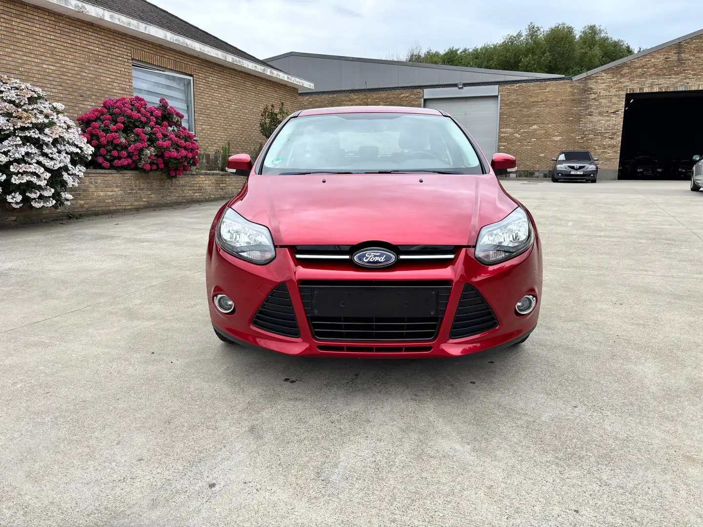 Ford Focus Focus 1.6 EcoBoost ECO.Tech.Champions Plus Ed. Rosso - 1