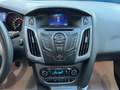 Ford Focus Focus 1.6 TDCi 115 CV SW Titanium Grigio - thumbnail 13