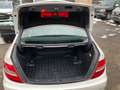 Mercedes-Benz C 200 CDI Elegance * Autom * TOP * NUR 53 Tkm. * Blanc - thumbnail 18