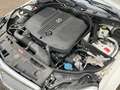 Mercedes-Benz C 200 CDI Elegance * Autom * TOP * NUR 53 Tkm. * Blanc - thumbnail 21