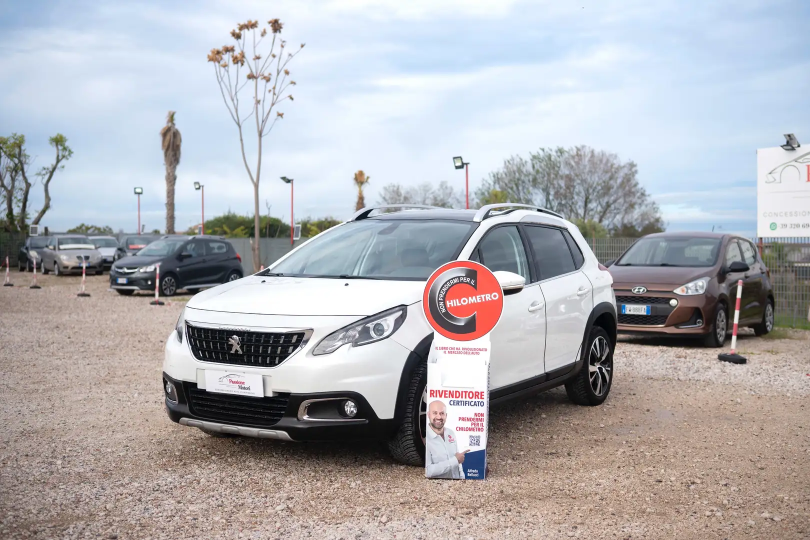 Peugeot 2008 1.6 bluehdi Black Matt s&s 120cv my17 Bianco - 1