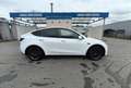 Tesla Model Y Standard RWD 30450€ HT TVA DEDUCTIBLE 1ère Main. Blanc - thumbnail 7