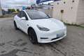Tesla Model Y Standard RWD 30450€ HT TVA DEDUCTIBLE 1ère Main. Blanc - thumbnail 3