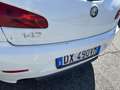 Alfa Romeo 147 147 5p 1.6 ts 16v Progression c/CL 105cv Bianco - thumbnail 5