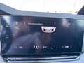 Skoda Octavia 4x4 Ambition TDI DSG Silber - thumbnail 16